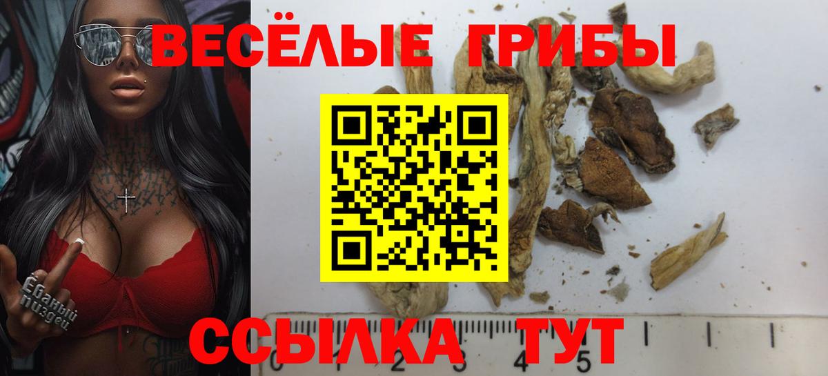 Псилоцибиновые грибы GOLDEN TEACHER  Вход с VPN  Фурманов 